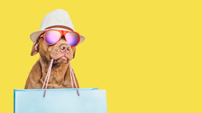 Cane con un cappello, occhiali e una shopper in bocca a rappresentare come migliorare i risultati di store