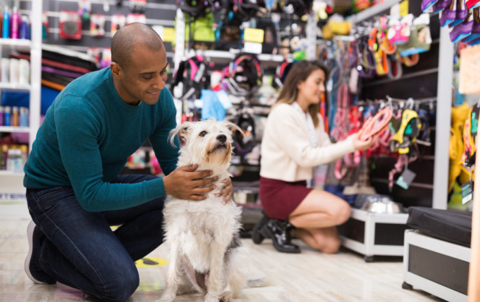 Una coppia in un pet shop a rappresentare la sales effectiveness delle sei fasi di acquisto